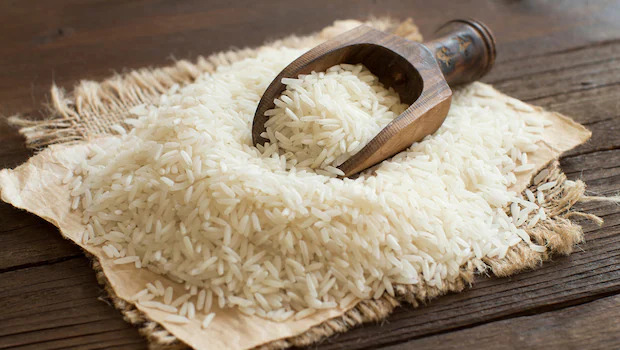 Rice grains for export sourcing