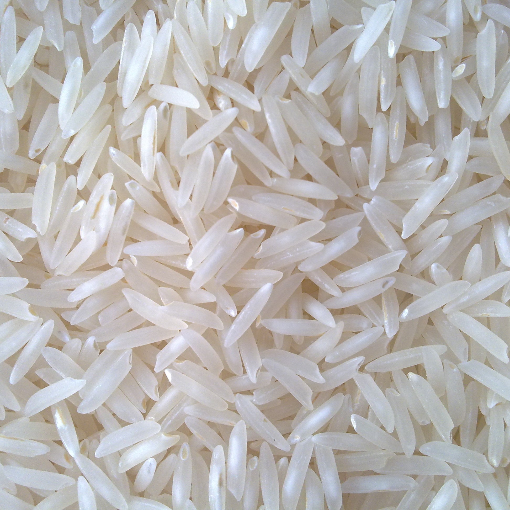 1121 raw rice