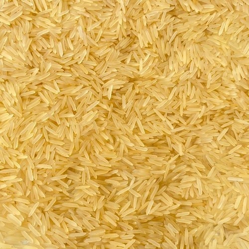 1509 golden sella rice