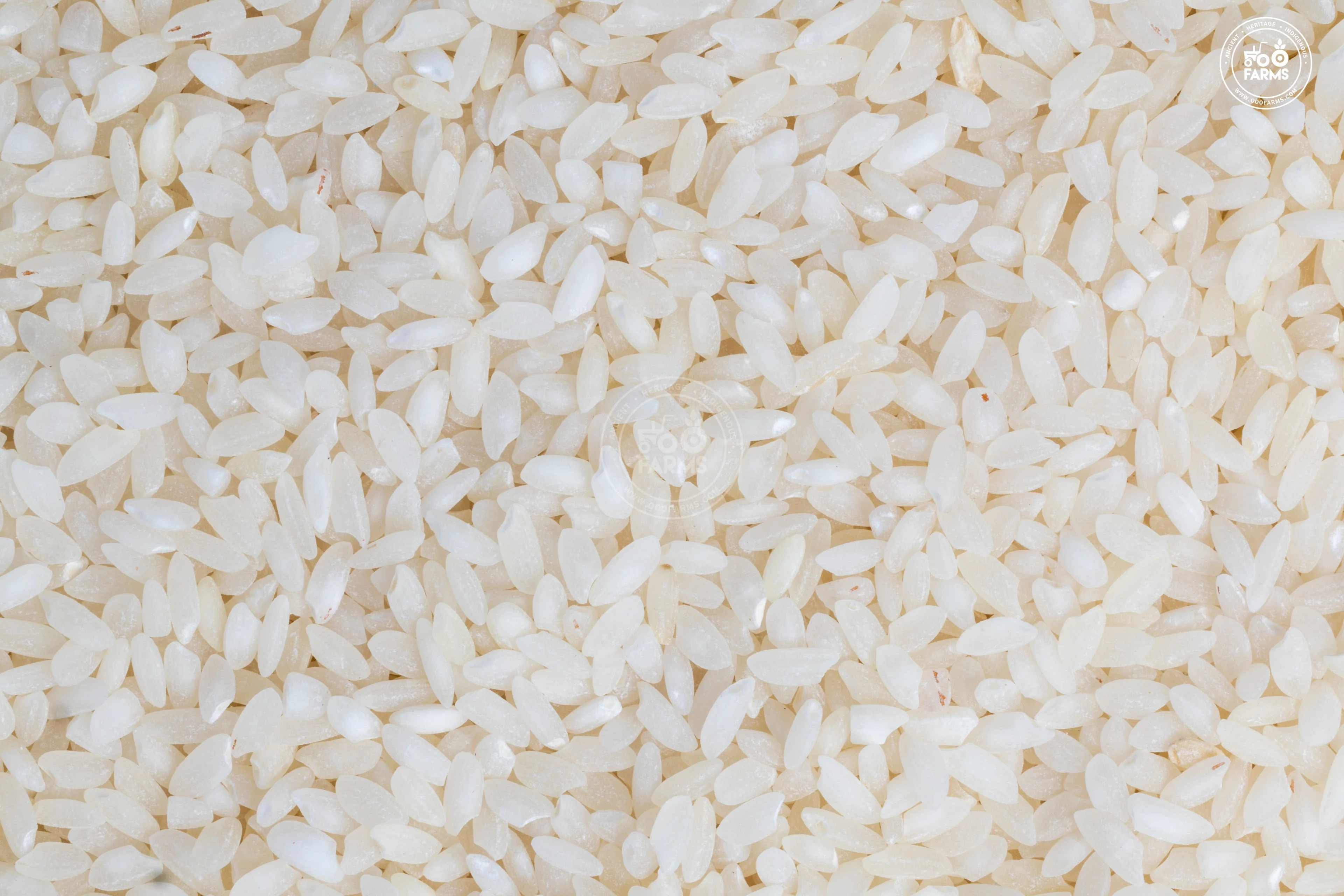 Ambe more rice