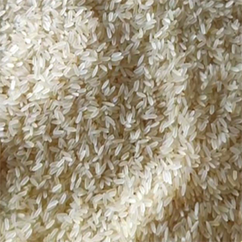 IR 64/36 rice