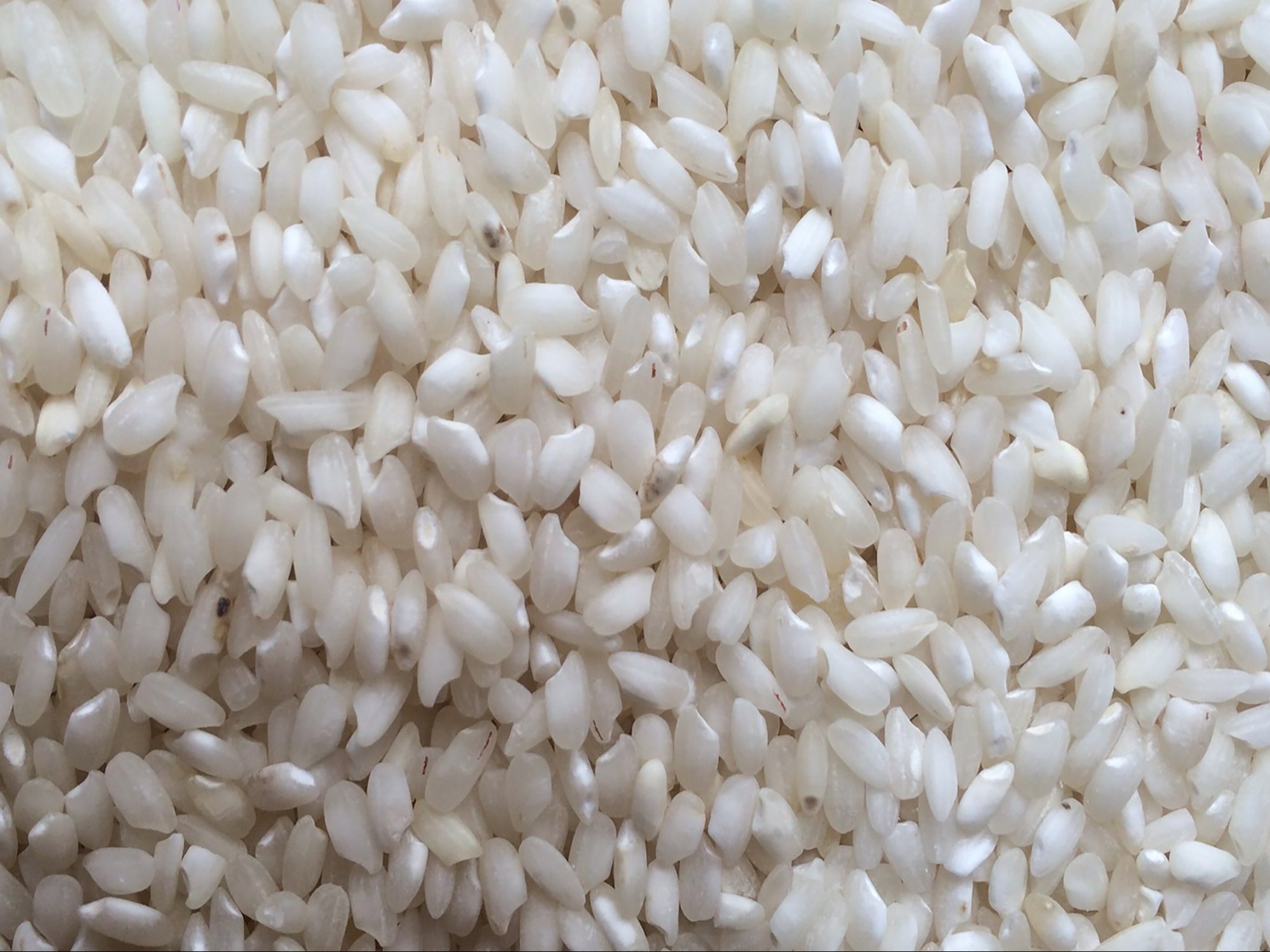 Round rice