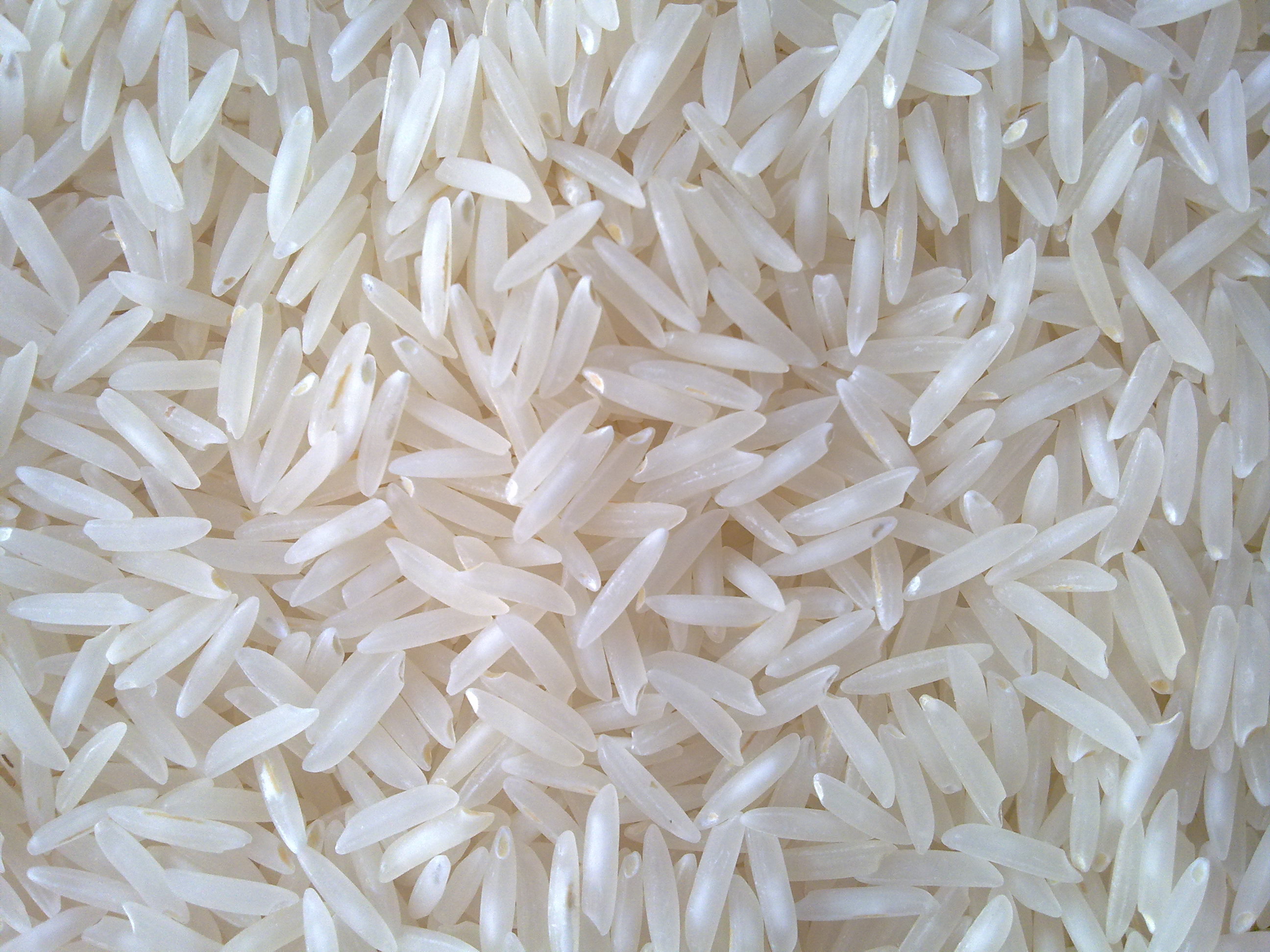Sona masori rice
